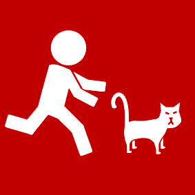 run after the cat